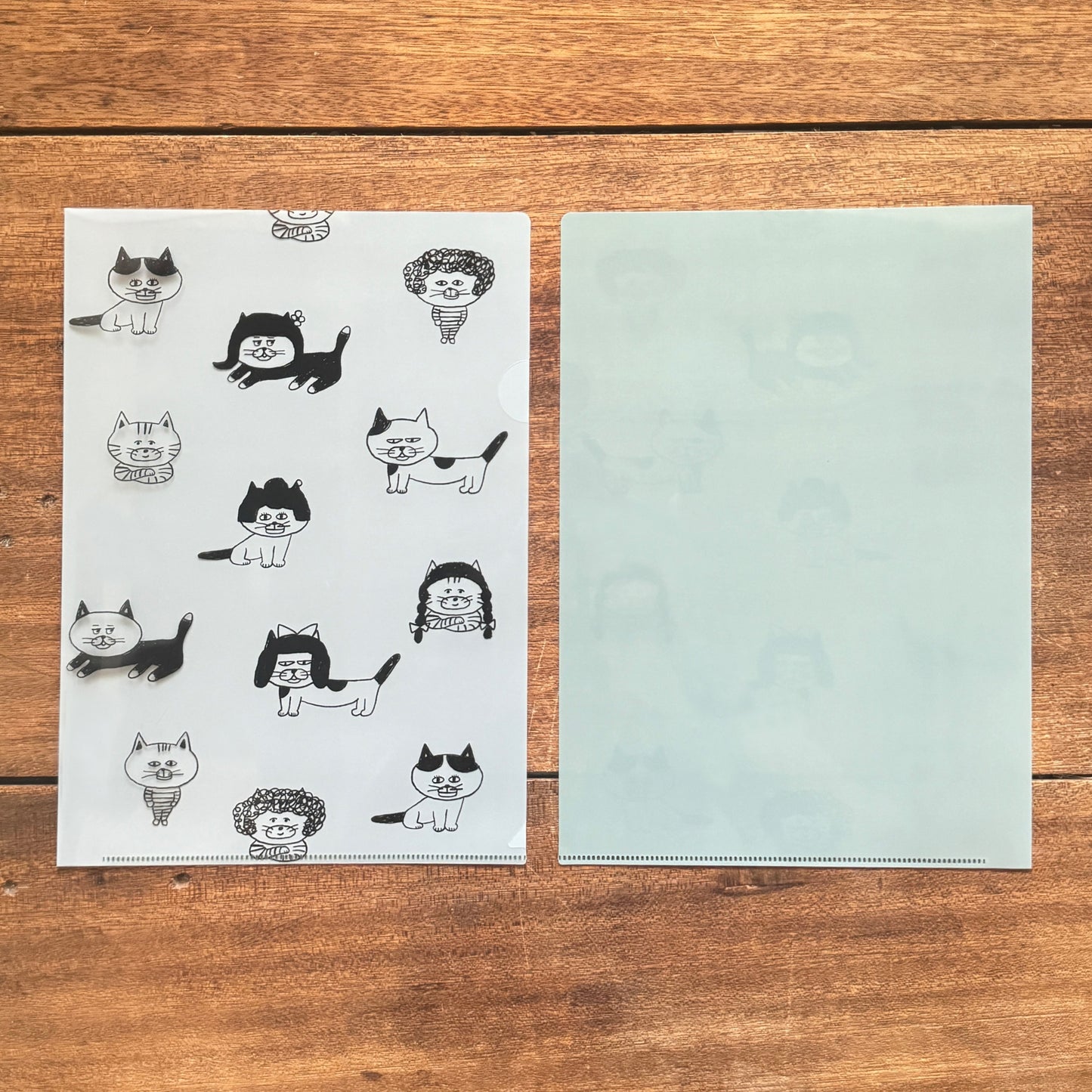 柴田ケイコ×水縞 クリアファイル カツラねこL (5入)