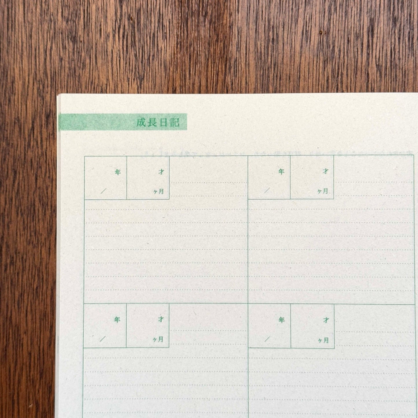 UCHINOKO Notebook (5 pcs)